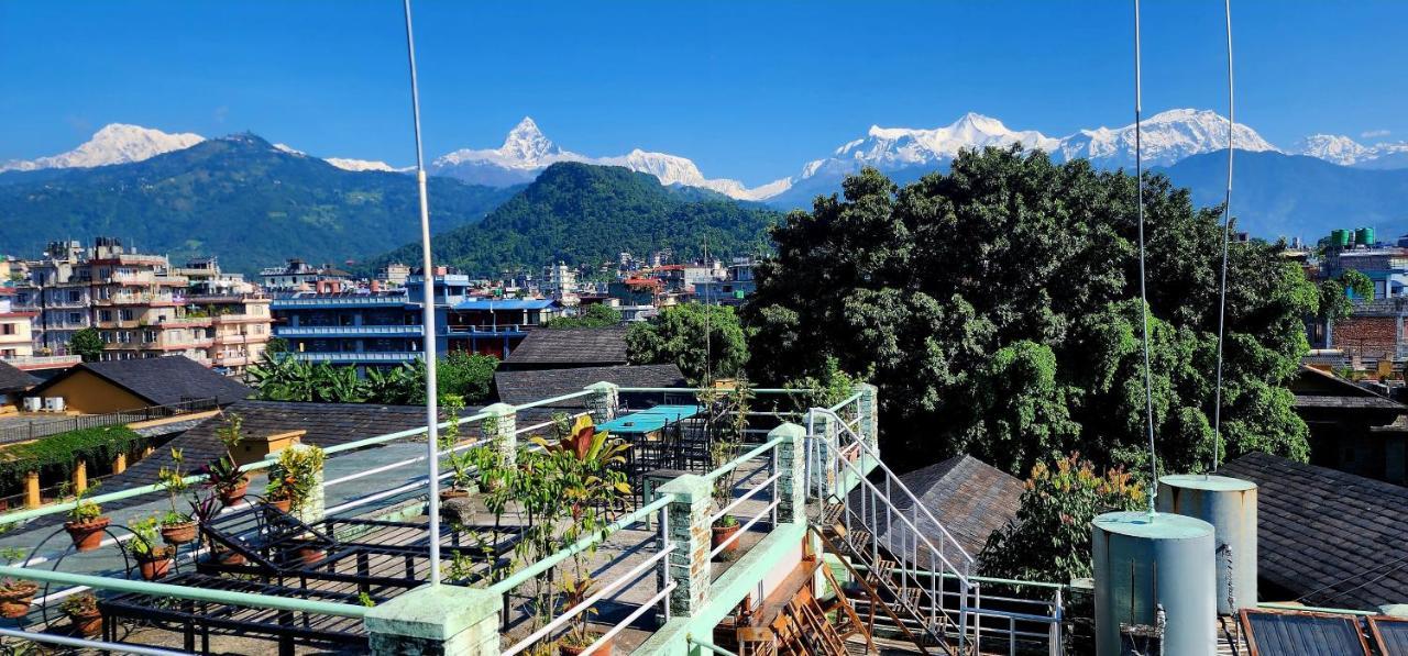 Hostel Kiwi Backpackers *