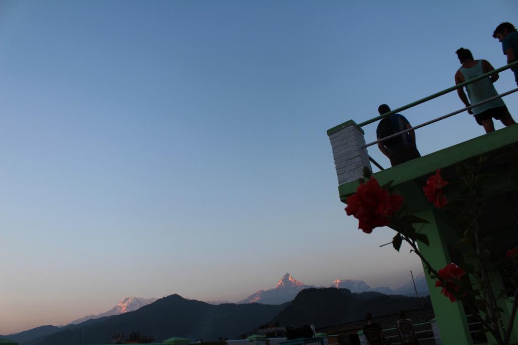 Hostel Kiwi Backpackers