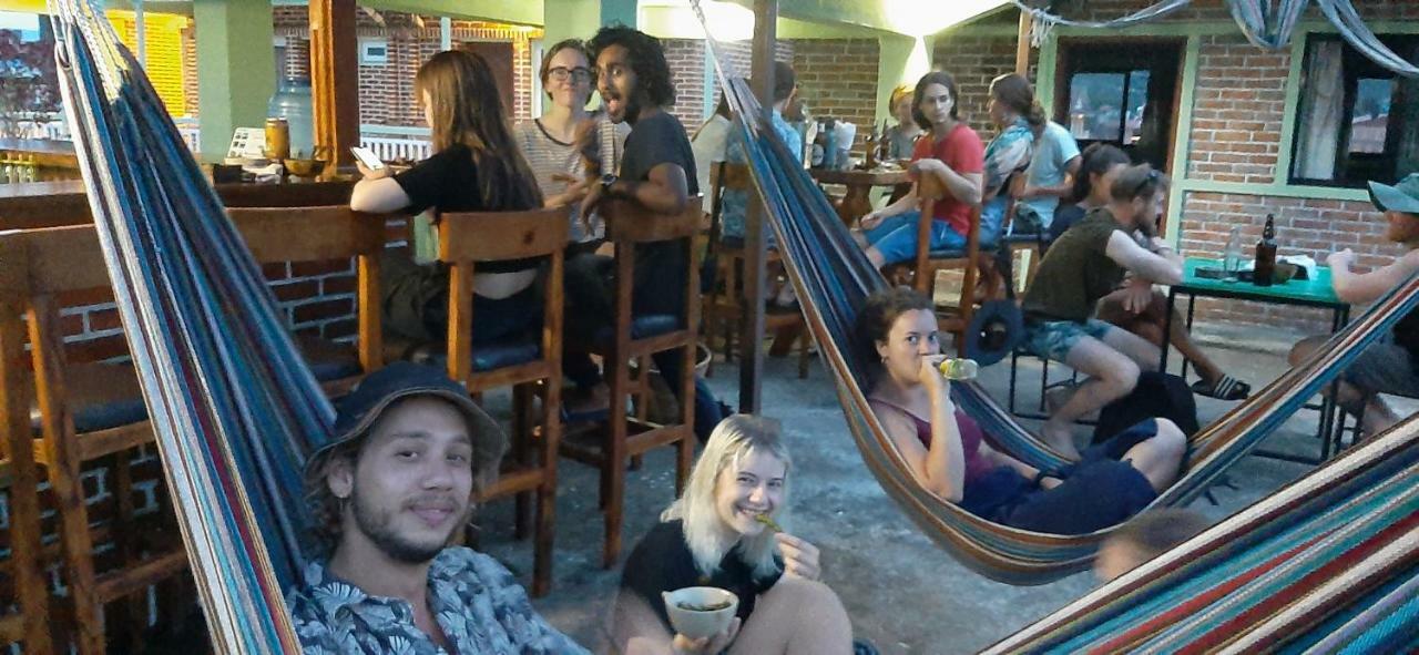 Hostel Kiwi Backpackers *